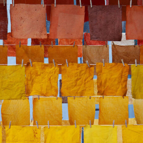06 ESTUDIO color lab MOSAICO IMG_0014.jpg